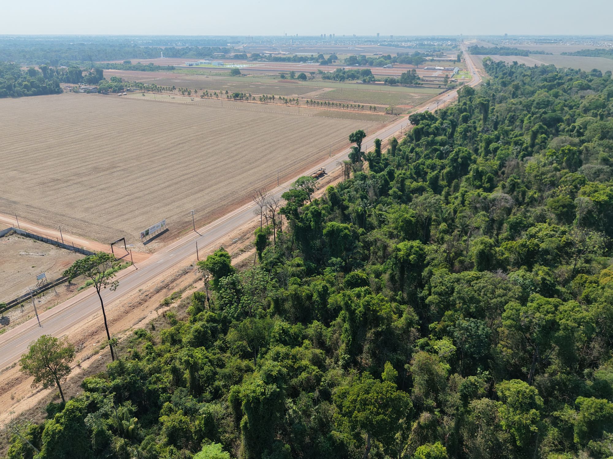 Mata nativa densa ao lado da estrada de acesso